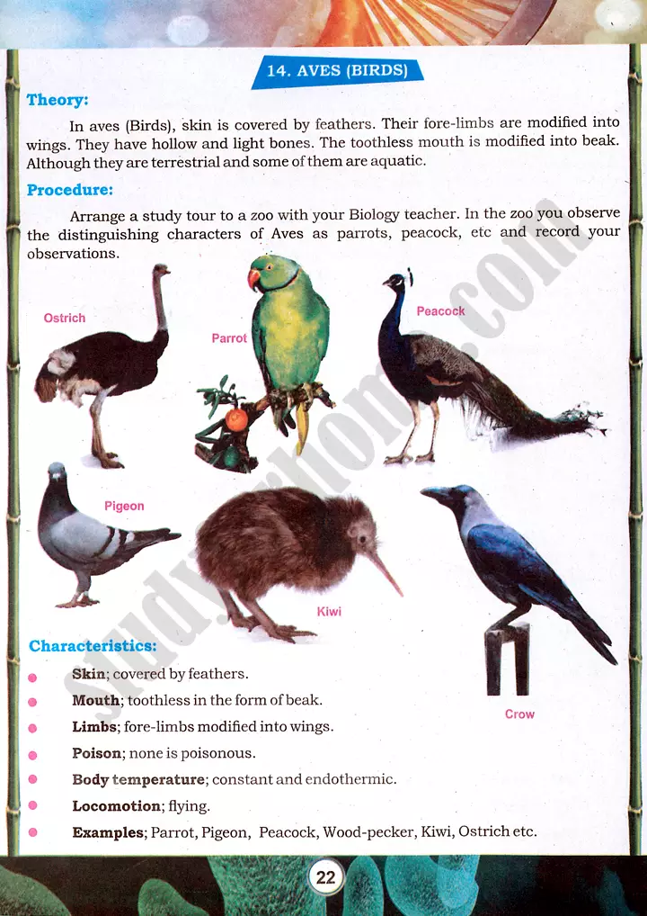 taxonomic character observation practical activity 4 biology class 9th 09
