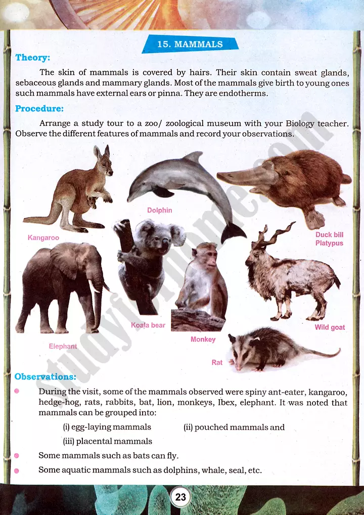 taxonomic character observation practical activity 4 biology class 9th 10