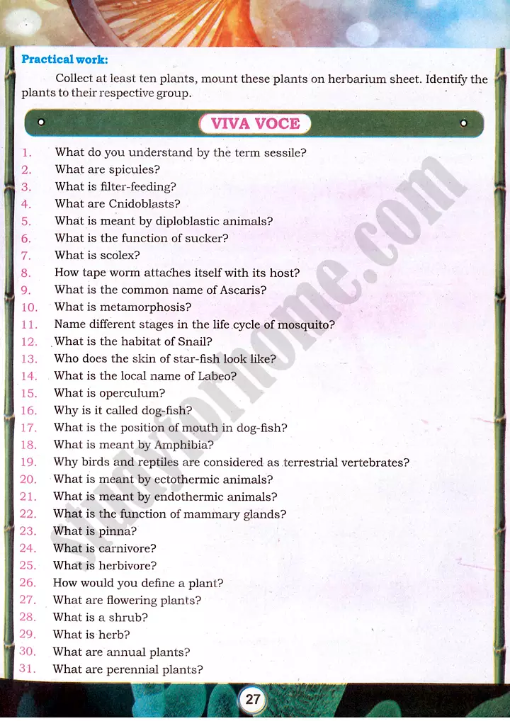 taxonomic character observation practical activity 4 biology class 9th 14