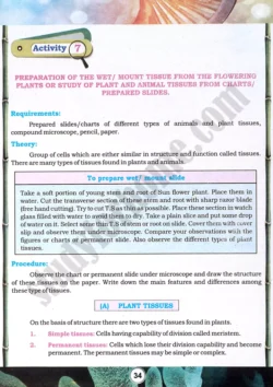 tissue-preparation-and-study-practical-activity-7-biology-class-9th