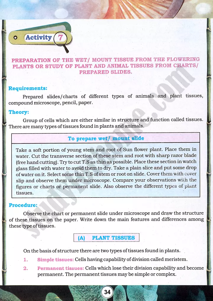 tissue-preparation-and-study-practical-activity-7-biology-class-9th