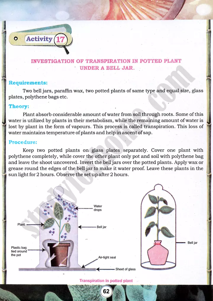 transpiration investigation practical activity 17 biology class 9th 01