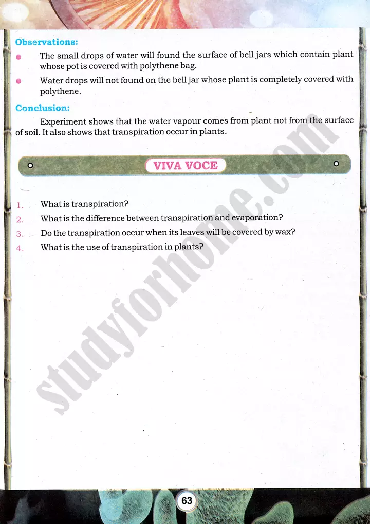 transpiration investigation practical activity 17 biology class 9th 02