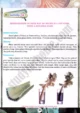 water-pathway-investigation-practical-activity-18-biology-class-9th