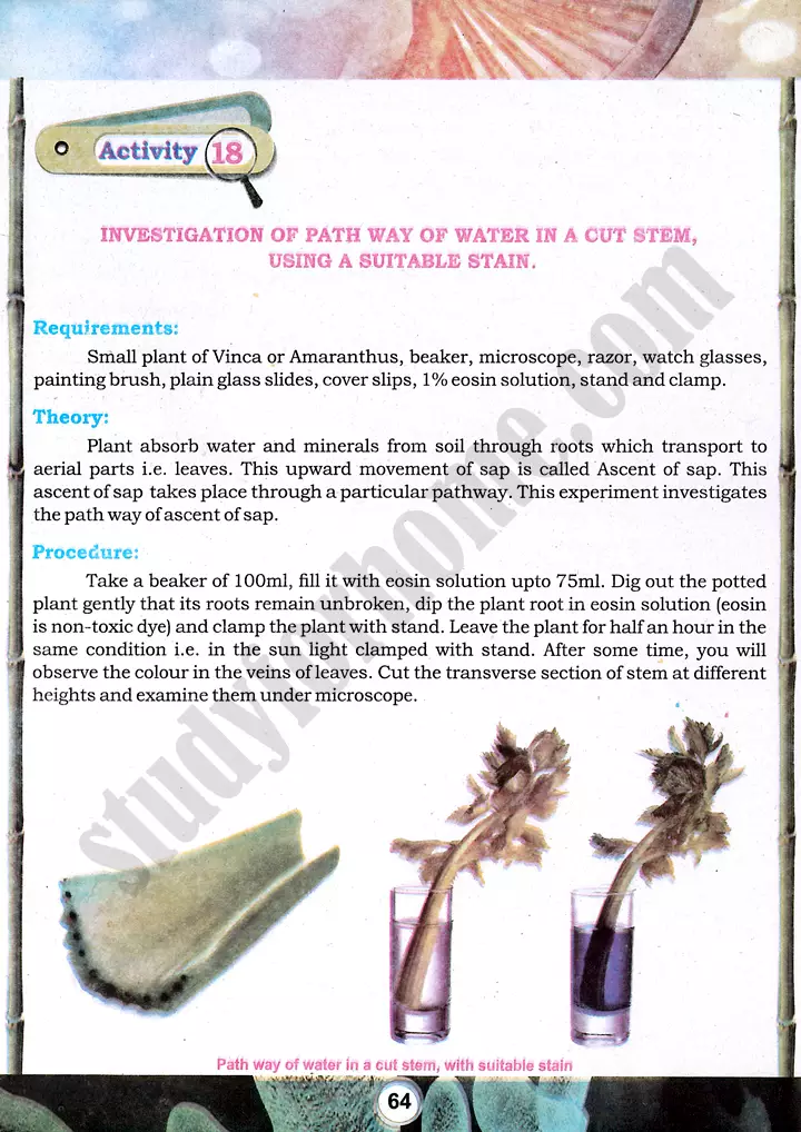 water pathway investigation practical activity 18 biology class 9th 01