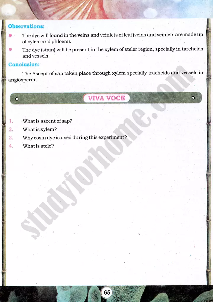 water pathway investigation practical activity 18 biology class 9th 02